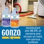Disinfectant Deodorizer & Cleaner - Citrus